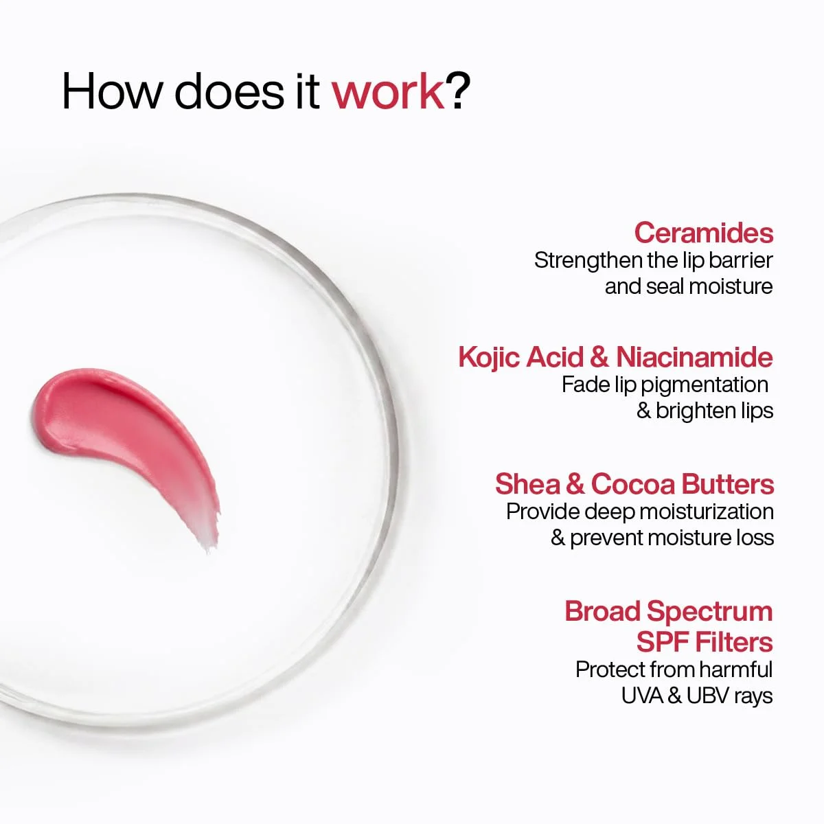 WishCare Ceramide Lip Balm Tinted SPF 50+ PA+++ (5g)