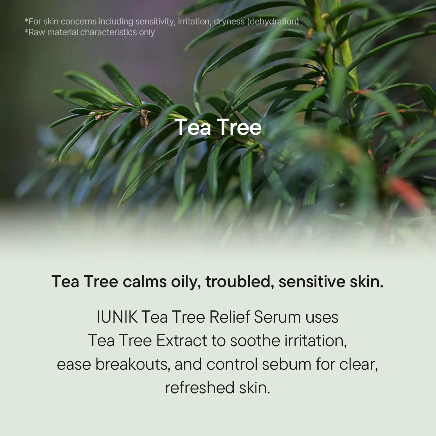 iUNIK Tea Tree Relief Serum (50mL)