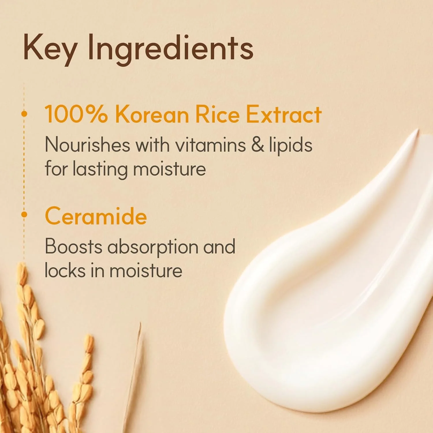 THE FACE SHOP Rice Ceramide Moisture Cream (50mL)
